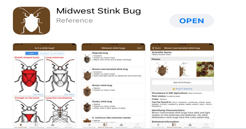 5 Stories You Don't Want to Miss: New stink bug app; Dicamba technology ...