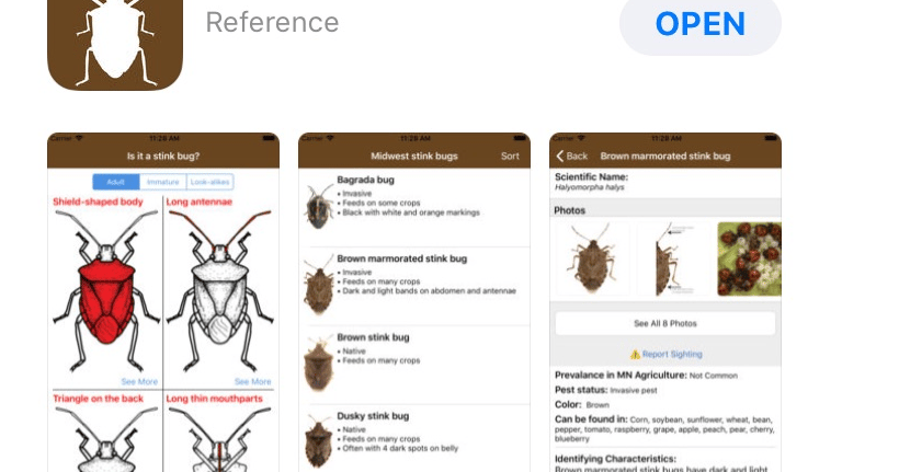 Shellbug App 5 Stories You Don't Want to Miss: New stink bug app; Dicamba technology ...