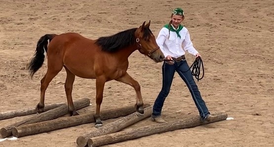 WFP-UC-horse-training.jpg WFP-UC-horse-training.jpg