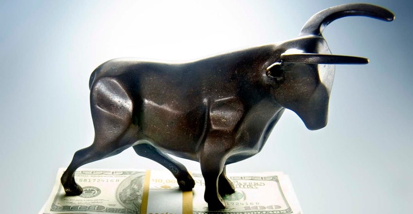 Bull on pile of money