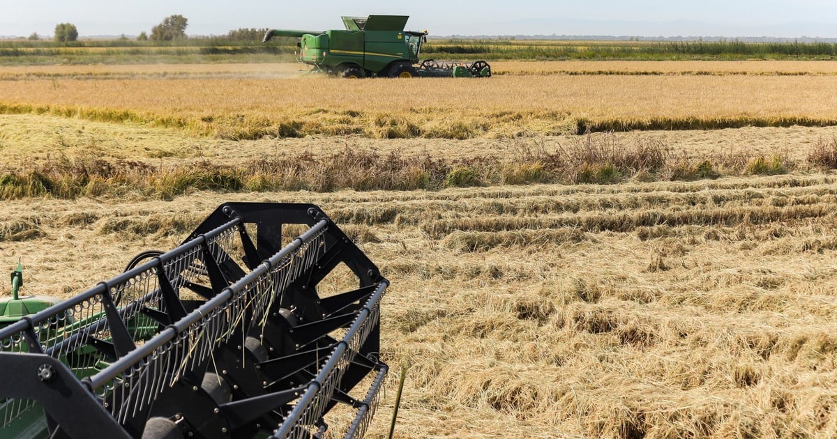 China receives first-ever U.S. rice shipment