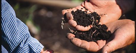 agsource_laboratories_offering_soil_health_testing_1_636034442561173632.jpg