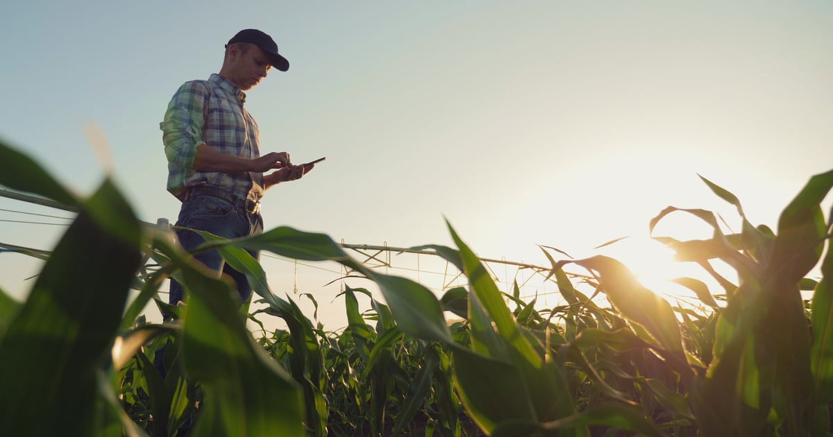Farmers embrace AI: Experts showcase practical applications