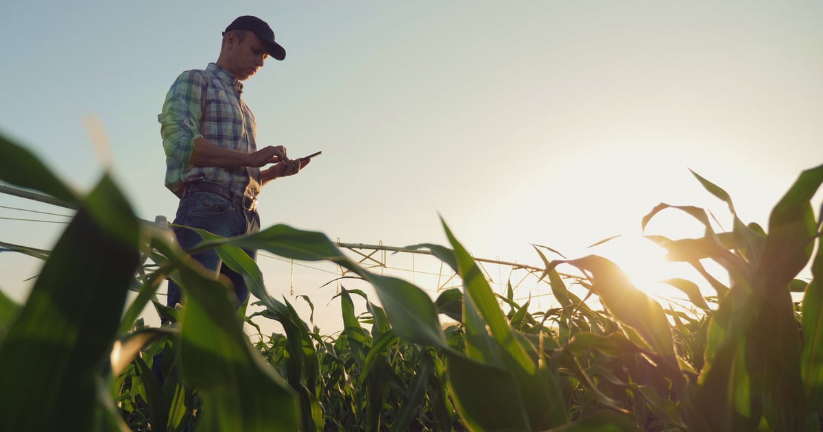 Farmers embrace AI: Experts showcase practical applications