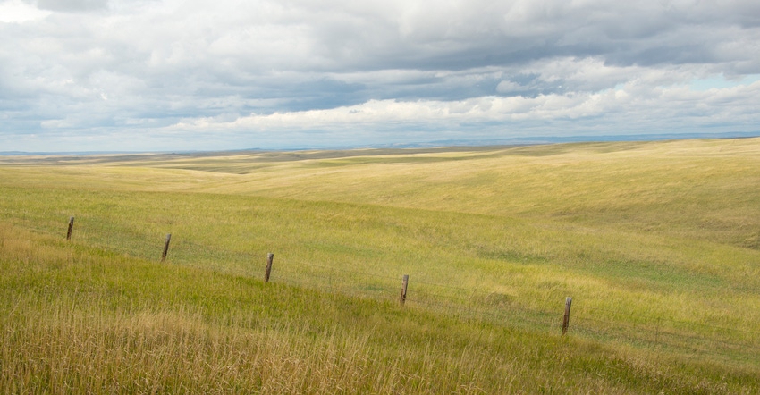 Grasslands Grasslands
