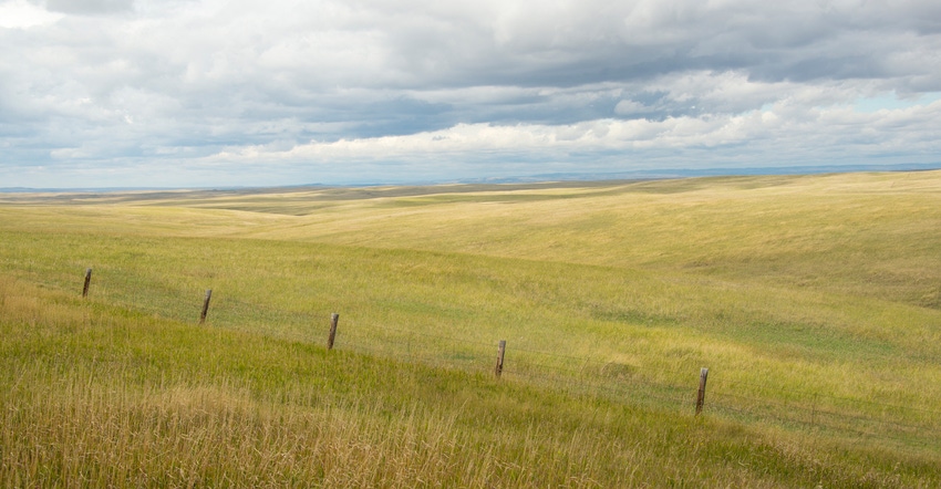 Grasslands