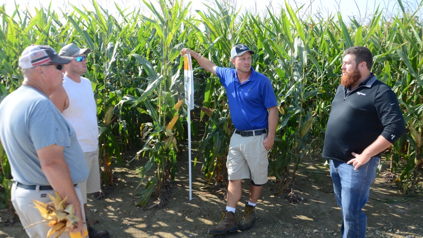 four farmers talking next to a cornfield