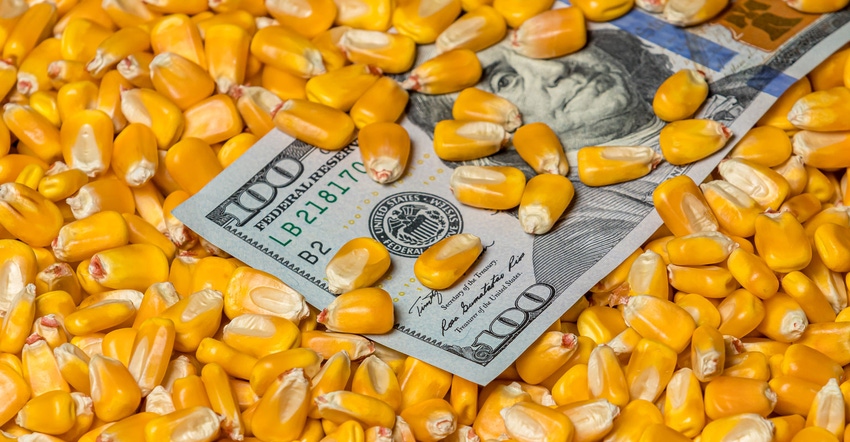 Closeup of corn kernels covering United States of America 100 dollar bill