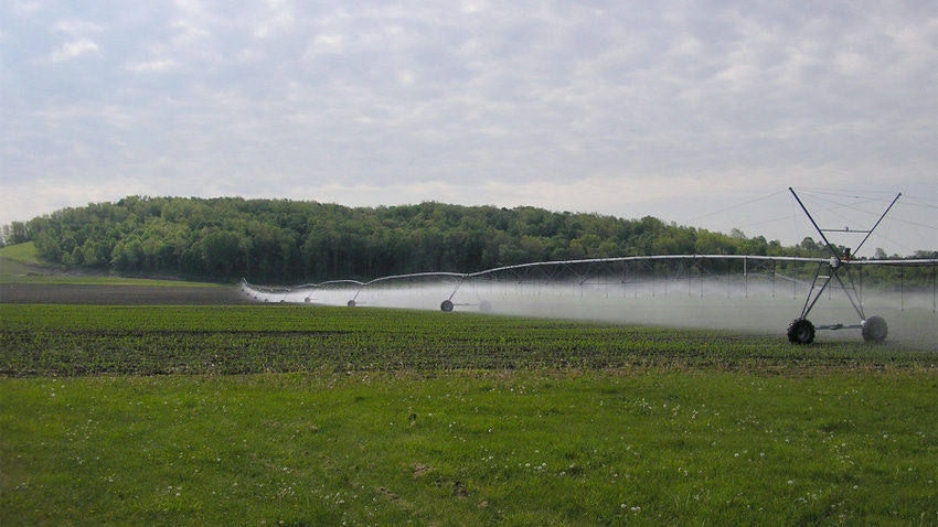 An irrigation system spraying a field of crops