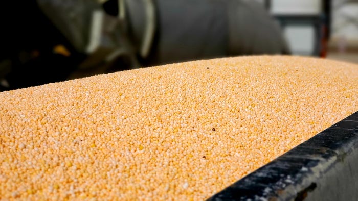swfp-shelley-huguley-dry-fertilizer-update.jpg swfp-shelley-huguley-dry-fertilizer-update.jpg