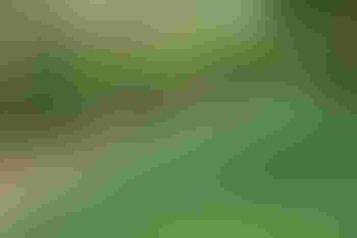 0525F1-2860C-1540x1027.jpg 0525F1-2860C-1540x1027.jpg