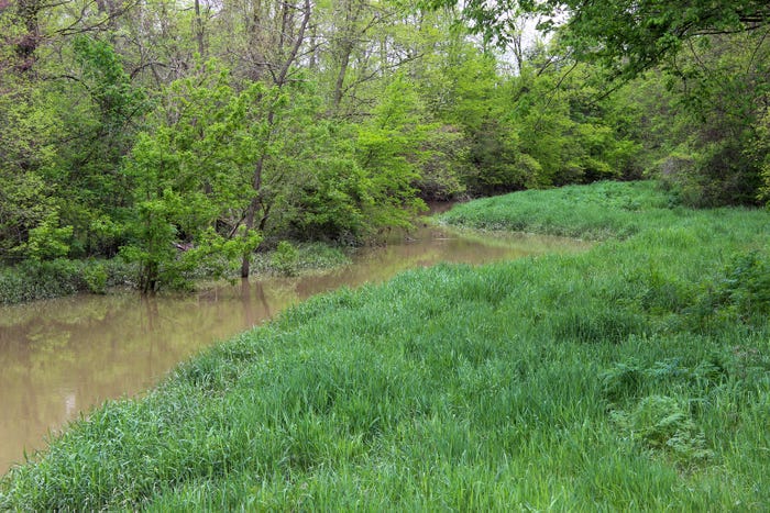 The Marie DeLarme creek surrounded by trees