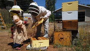 UC's Master Beekeeper program