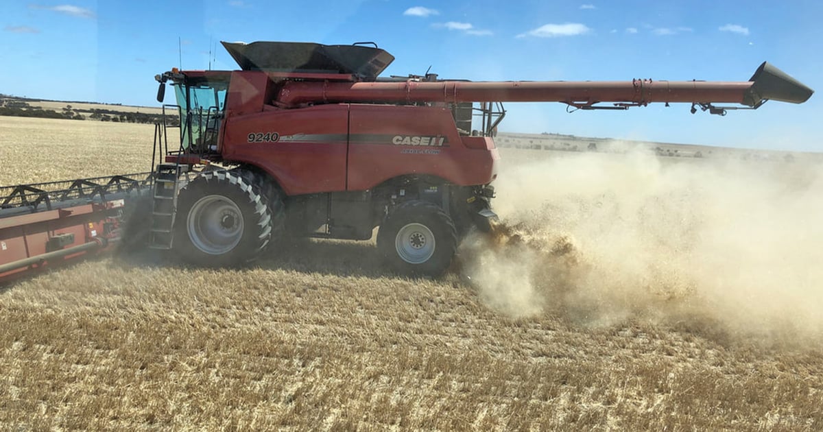 Combine attachment destroys weed seed