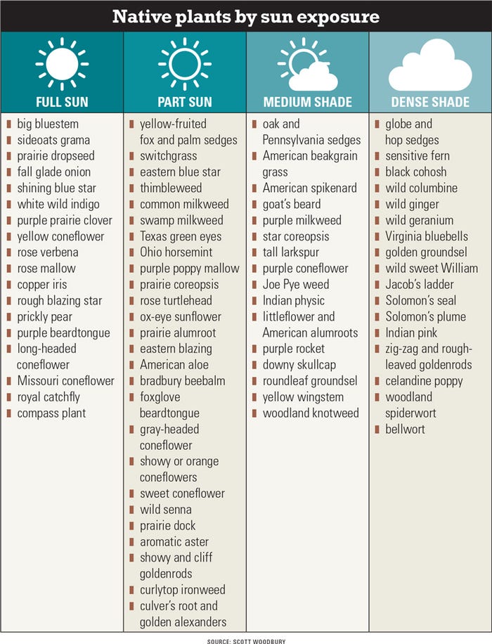 native plants by sun exposure table