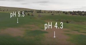 field with pH levels indicated