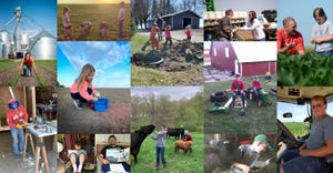 quarantined kids on the farm collage