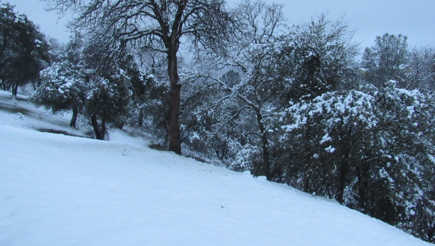 Snow Snow