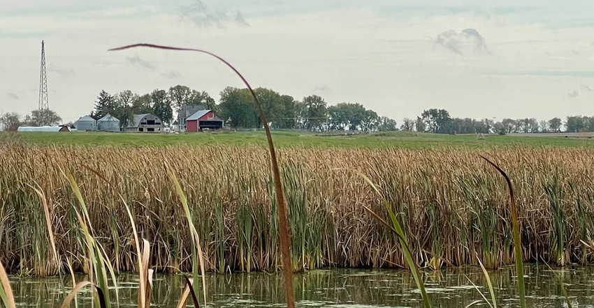 Pond with farm in background Pond with farm in background