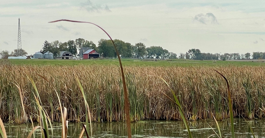 Pond with farm in background