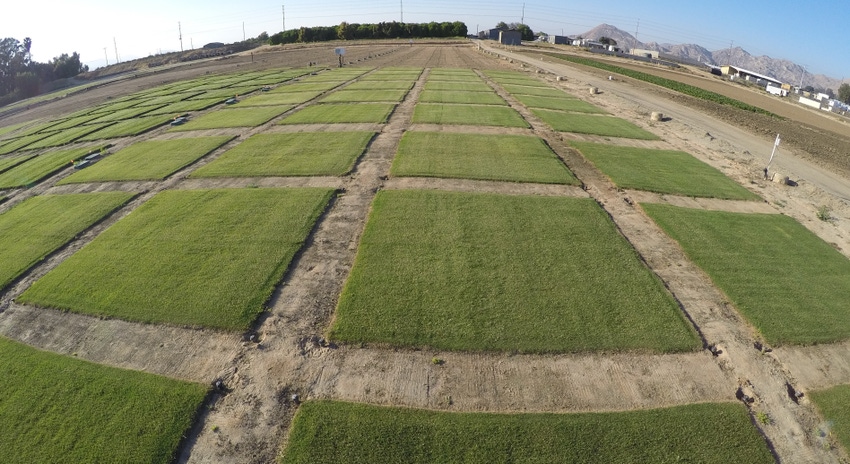 WFP-UC-irrigation-trials.jpg
