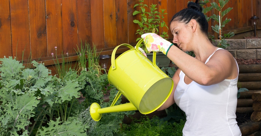 Woman watering garden