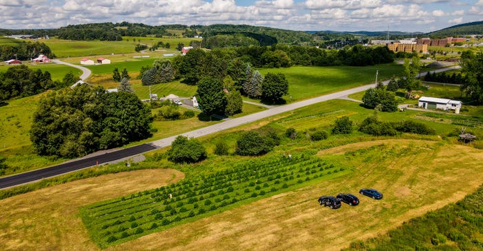 aerial view of SUNY Morrisville’s cannabis research plot