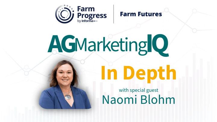 Global supply concerns build case for bullish 2027 grain markets