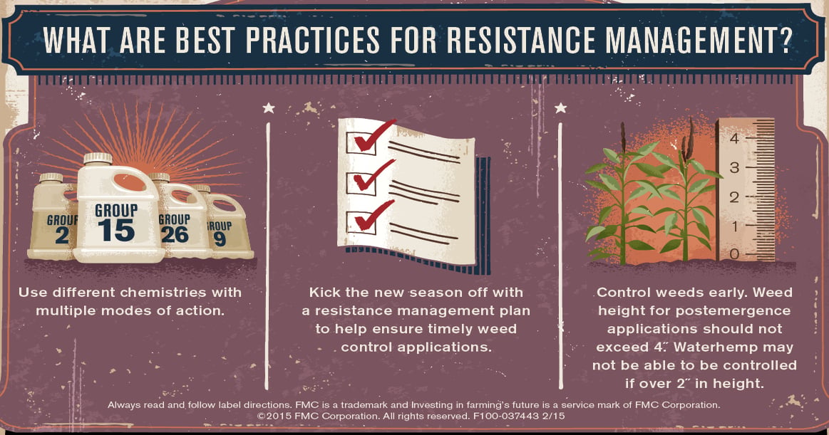 Use Overlap System for more complete weed control