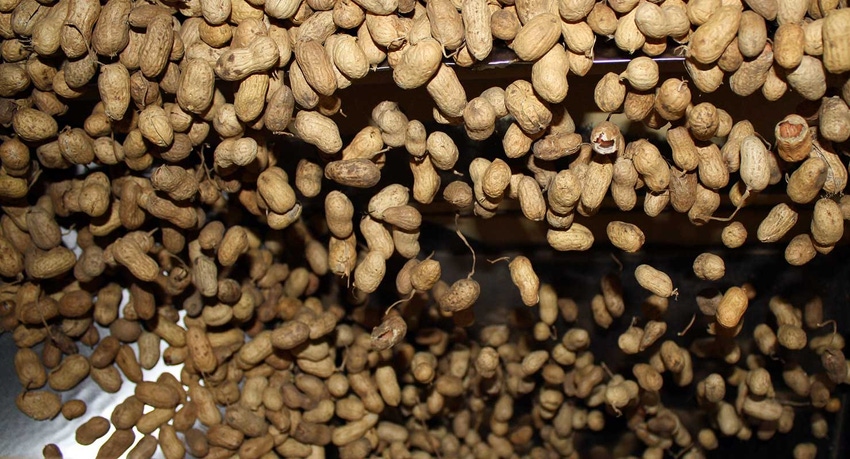 peanut-shelling-plant-georgia-4-a.jpg