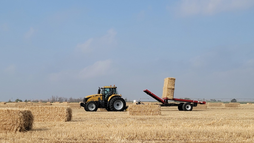 hay-stacking