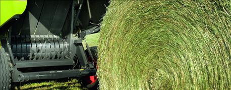 2015_hay_forage_expo_approaching_1_635701423086333089.jpg
