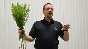 Chris Aulbach holds CoverCress plants in one hand