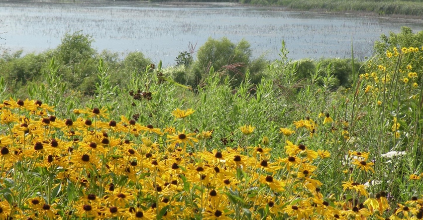  wetland in Iowa