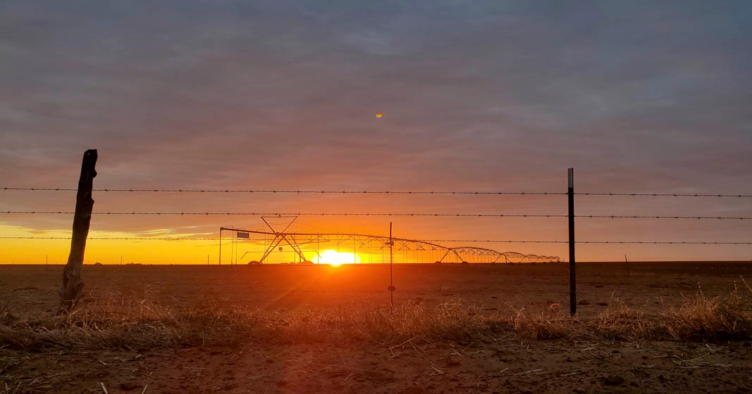 2020 Texas Rural Land Value Trends Report available