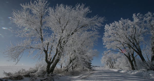 Let it snow: Celebrating the last days of winter | Farm Progress