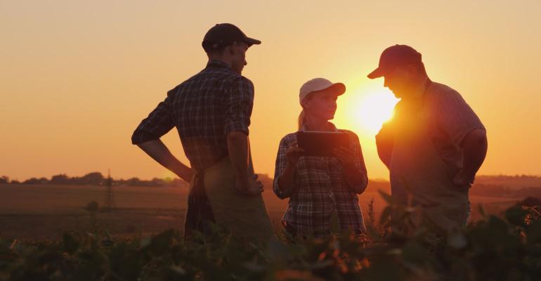 Farmers collaborating in a field