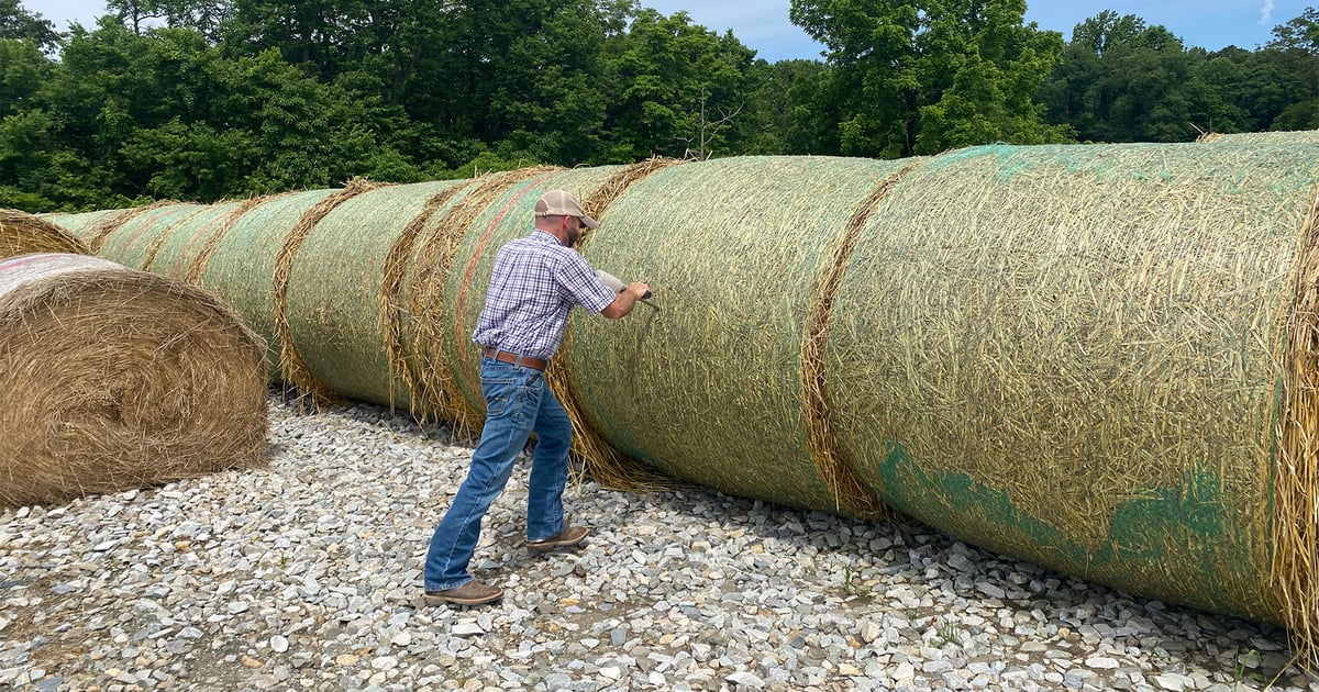 How to take hay samples