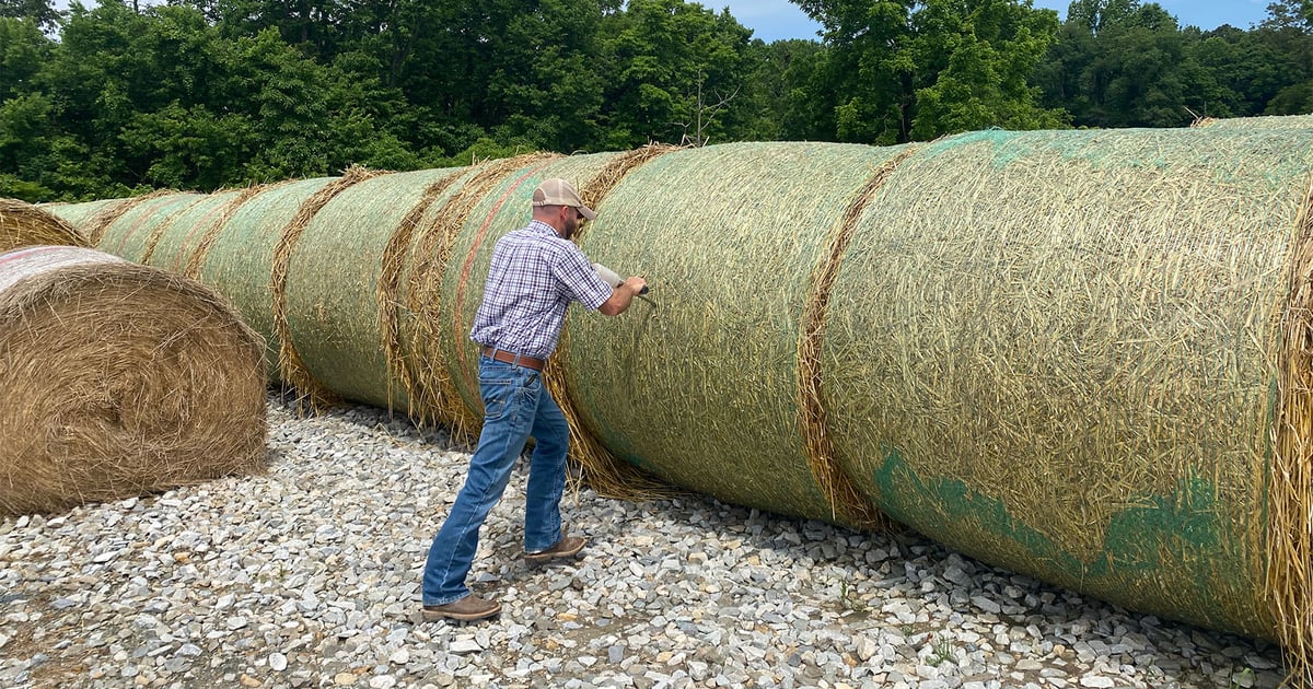 Haystack Feed Sampling How to take hay samples