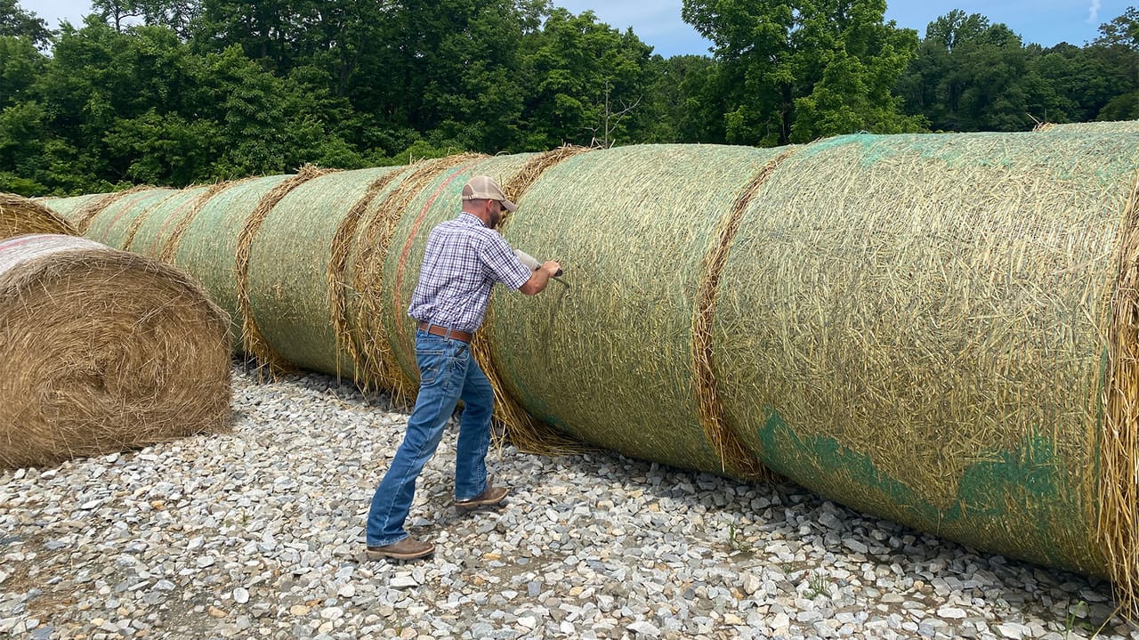 Bale For Sample Collection How to take hay samples