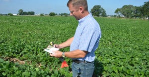 Steve Guack in soybean field