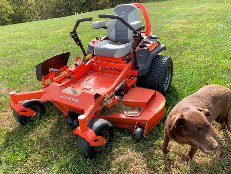 A riding, zero turn mower and a brown dog in an open field
