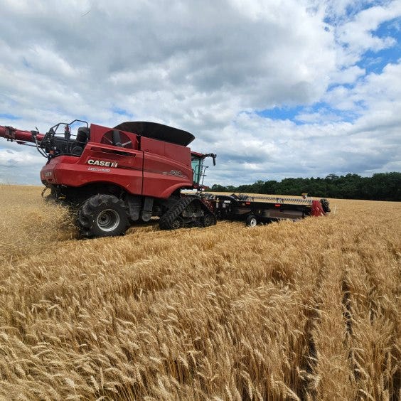 kansas-wheat-harvest-0617F1-2059A.jpg