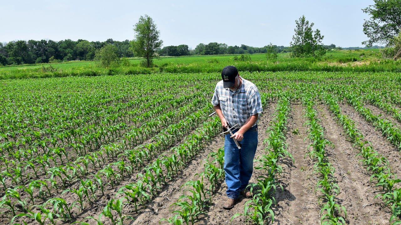 NRCS soil scientist Jason Steele uses a soil probe to assess soil moisture