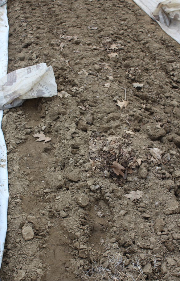 soil with tarps 