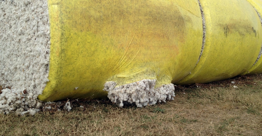 DrTValco-YellowContam-WithPermission.jpg DrTValco-YellowContam-WithPermission.jpg