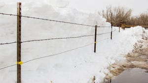  Cattle fence that was dug out of a large snowdrift