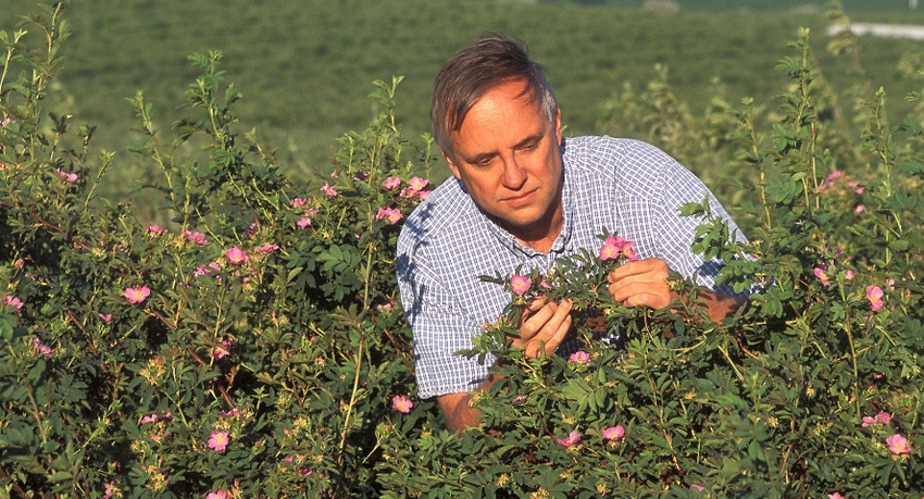 WFP-ARS-entomologist.jpg WFP-ARS-entomologist.jpg