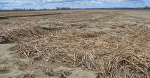 Burt County corn field shows the sand, silt and debris left behind after the 2019 flood