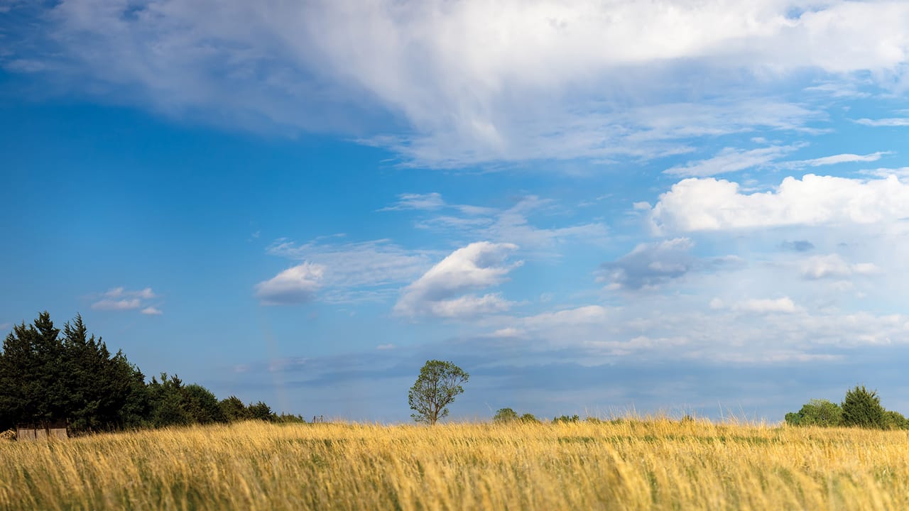 Rangeland under a blue sky Rangeland under a blue sky